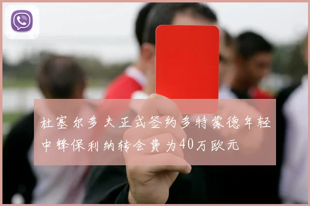 杜塞尔多夫正式签约多特蒙德年轻中锋保利纳转会费为40万欧元
