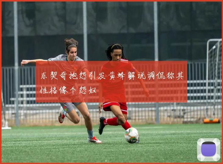 东契奇抱怨引发黄蜂解说调侃称其性格像个怨妇